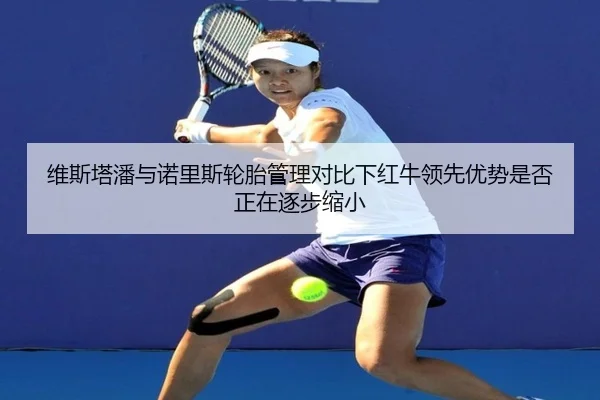 维斯塔潘与诺里斯轮胎管理对比下红牛领先优势是否正在逐步缩小