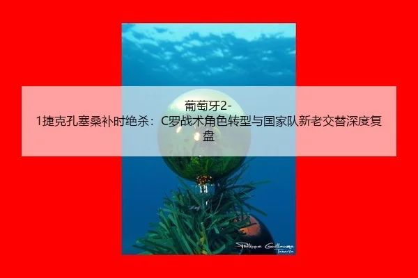pu-tao-ya-jie-ke-kong-sai-sang-bu-shi-jue-sha-luo-zhan-shu-jue-se-zhuan-xing-yu-guo-jia-dui-xin-lao-jiao-ti-shen-du-fu-2-965.jpg
