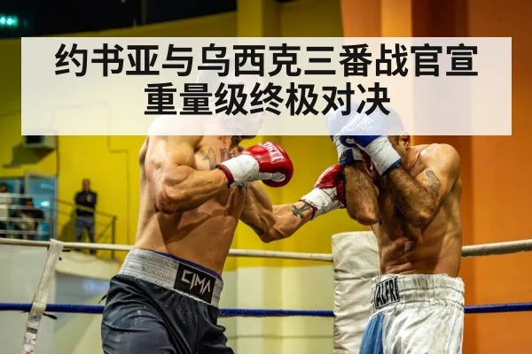 约书亚与乌西克三番战官宣 重量级终极对决