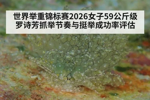 世界举重锦标赛2026女子59公斤级 罗诗芳抓举节奏与挺举成功率评估